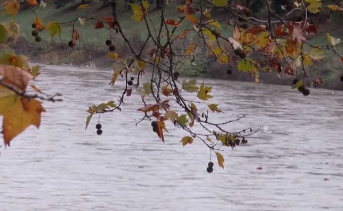 У мережі поширюють відео стрімкого підняття рівня води в краї. 