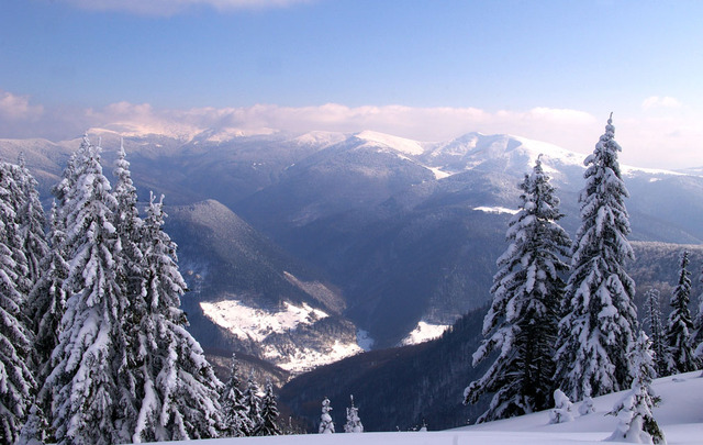 Протягом 27-30-го січня на дорогах більшої частини території Закарпатської області збережеться ожеледиця. У гірських районах місцями: туман, слабка ожеледь, налипання мокрого снігу.