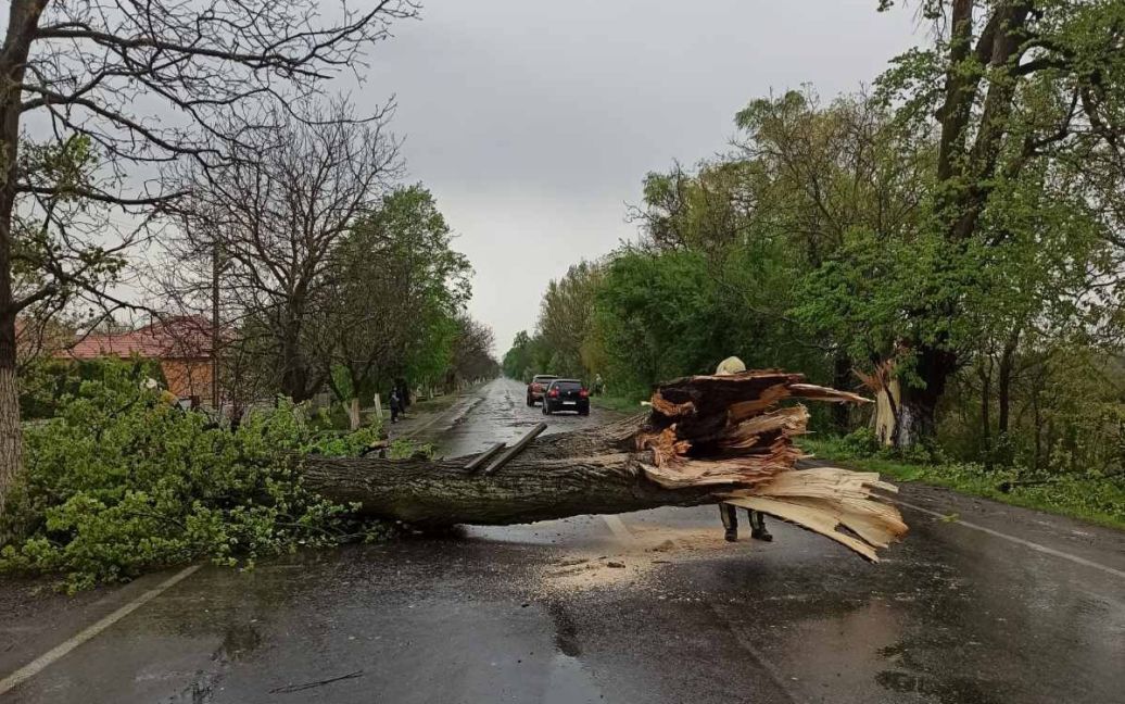 Повалені дерева та вода у підвалах: на Хустщині ліквідовували наслідки негоди 