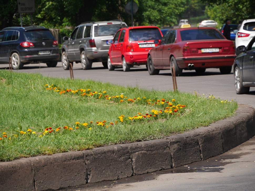 Квіти, які все літо, аж до осені будуть прикрашати місто, продовжують висаджувати в Ужгороді.
