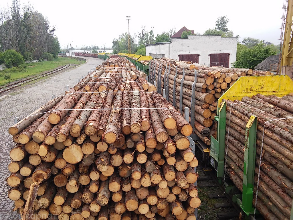 В субботу, 30 апреля, на мукачівскій таможни совместно с прездставниками СМИ, полиции и таможенных брокеров было проверено на соответствие поезда с древесиной, которая загружена на экспорт из Украины.