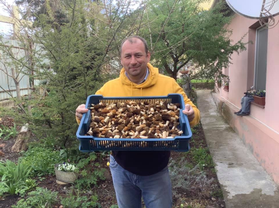 Первые грибы в регионе в этом году начали собирать уже месяц назад.