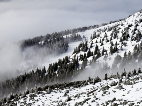 У горах Львівської та у високогір’ї Закарпатської областей зберігається значна сніголавинна небезпека.