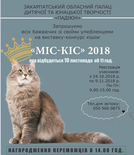Конкурс-виставка котів і кішок відбудеться в Ужгороді.