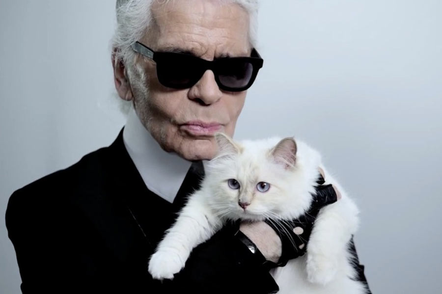 Кіт Карла Лагерфельда, який був головним дизайнером та креативним директором фешн-дому Chanel, може успадкувати 150 мільйонів фунтів стерлінгів свого покійного власника.