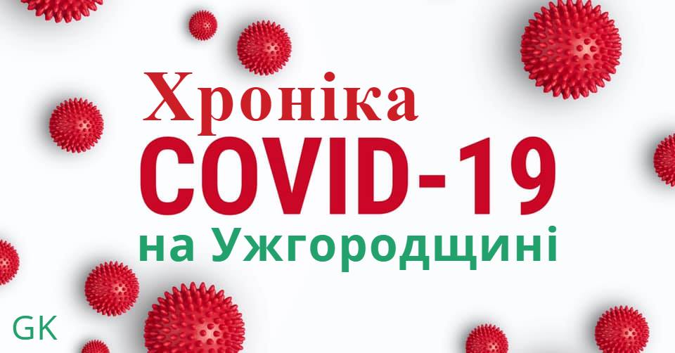 На территории 3акарпаття с начала эпидемии COVID-19 зафиксировано 572 случая инфицирования коронавирусом, из которых почти половина, 295 больных - на Ужгородщине.