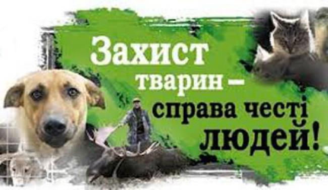 У неділю, 30 вересня, о 12:00 в Ужгороді пройде марш за права тварин.