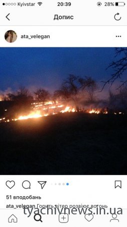 На луках Тячівщини вже декілька годин поспіль вирує вогонь.