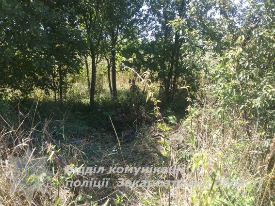 На полі, між селами Вилок та Нове Село, 61-річний чоловік впав у 10-метровий колодязь, збираючи лікарські трави.
