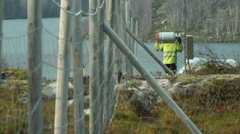 У Норвегії за останній рік зменшилась кількість людей, які просять в країні притулку.
