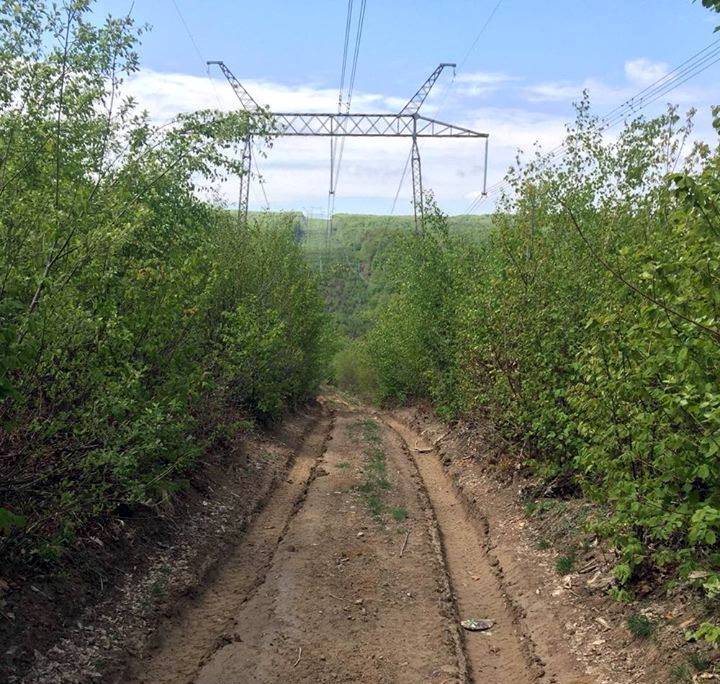 Важную роль в строительстве нового пути сообщения выполнять Закарпатское ОУЛМГ, поскольку дорога проходит через лес.