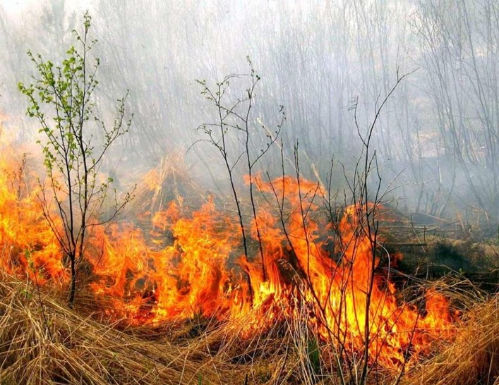 Пожар случился в сек. Н. Коропец, Мукачевского района.