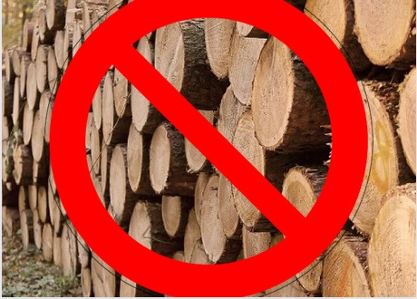 Кабінет міністрів України сьогодні, 25 листопада, ввів заборону на експорт паливної деревини, щоб забезпечити цим енергетичним ресурсом українців. 