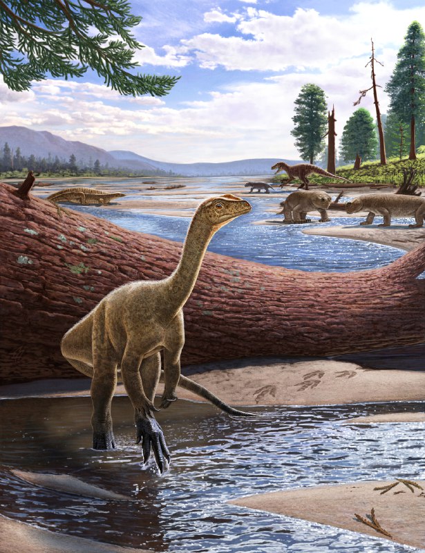 Неймовірну знахідку палеонтологи виявили в Африці