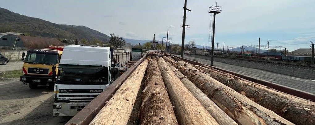 Более 1000 кубометров древесины было отправлено из Закарпатья в Николаевскую и Днепропетровскую области. 