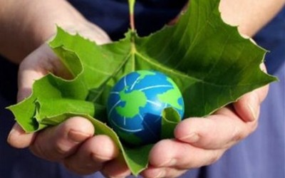Закон впроваджує нову європейську модель процедури оцінки впливу на довкілля (ОВД) замість екологічної експертизи, передбаченої Законом «Про екологічну експертизу», що в свою чергу, втрачає чинність.