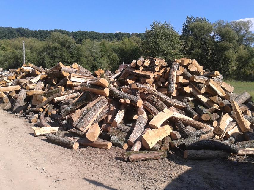 На Ужгородщині під час обшуку на одній з лісопилок виявлено понад 30 м.куб деревини цінних порід, без документів про її походження.
