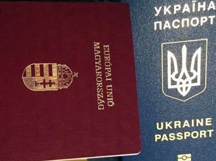 Клімкін зазначив, що «послідовно виступає» за надання подвійного громадянства людям, які вимушені залишати Україну, щоби працювати за кордоном. 