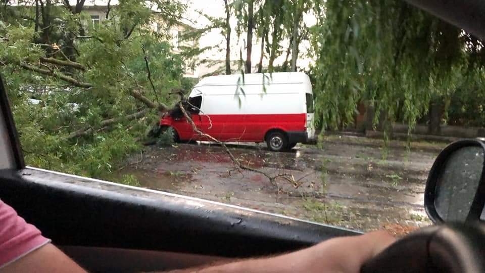 Инцидент произошел на улице Собранецкой.