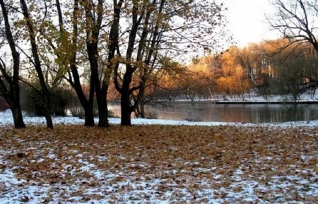 У середу, 21 вересня, майже на всій території України очікуються дощі. За прогнозами, в Карпатах пройдуть опади у вигляді мокрого снігу.