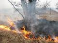 Спека останніх днів знову поставила під загрозу загорання сухостою на Берегівщині.