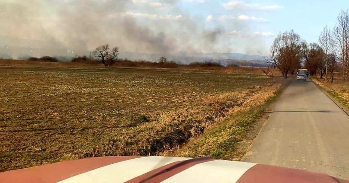 28 березня до поліції з повідомленням про пожежу на території Карпатського біосферного заповідника звернулися працівники УДСНС в Закарпатській області.