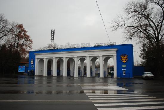 Національна Федерація водного поло України підтримає будівництво в Ужгороді на стадіоні «Авангард» 50-метрового басейну. 