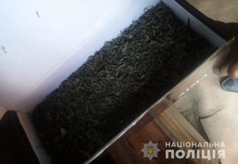 Під час санкціонованого обшуку з помешкання 21-річного жителя міста Берегово поліцейські відділу вилучили коробку з речовиною, схожою на наркотичну - канабіс.