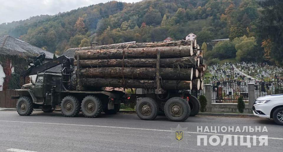 За последние два дня закарпатская милиция изъяла незаконную древесину на сумму почти полмиллиона гривен.