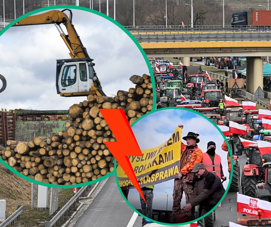 Мільйонні збитки на горизонті: польські митники ставлять український бізнес на коліна