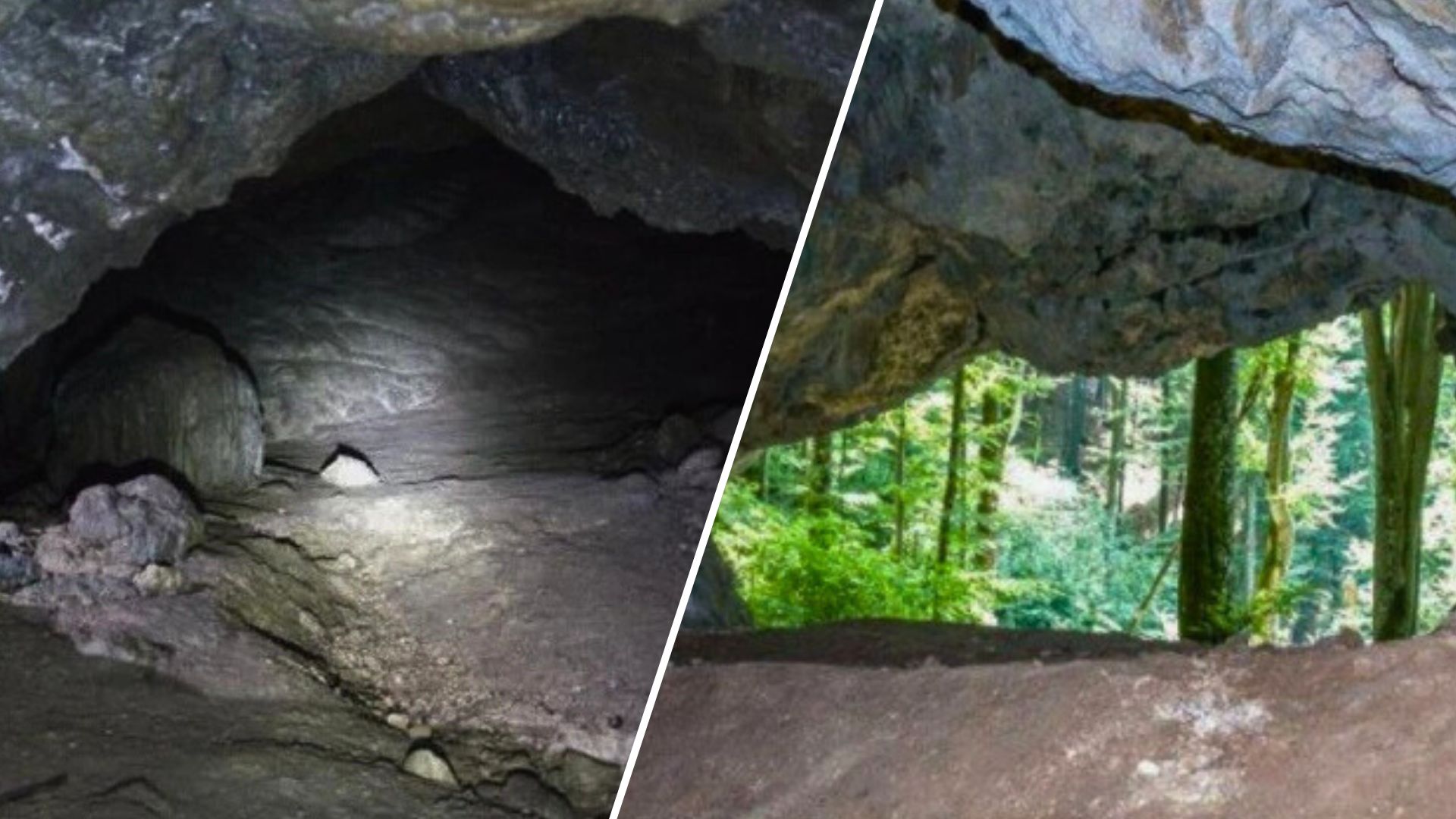 Историческое сокровище: в Закарпатье взяли под охрану пещерную стоянку каменного века (ФОТО)