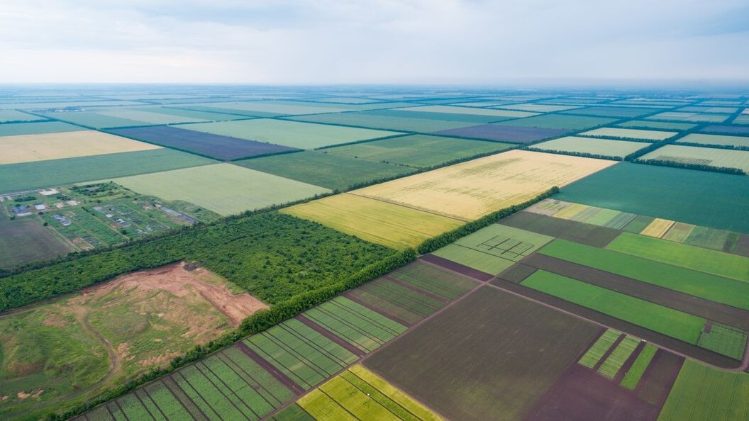 В Україні переписали ціни на землю: скільки коштує гектар