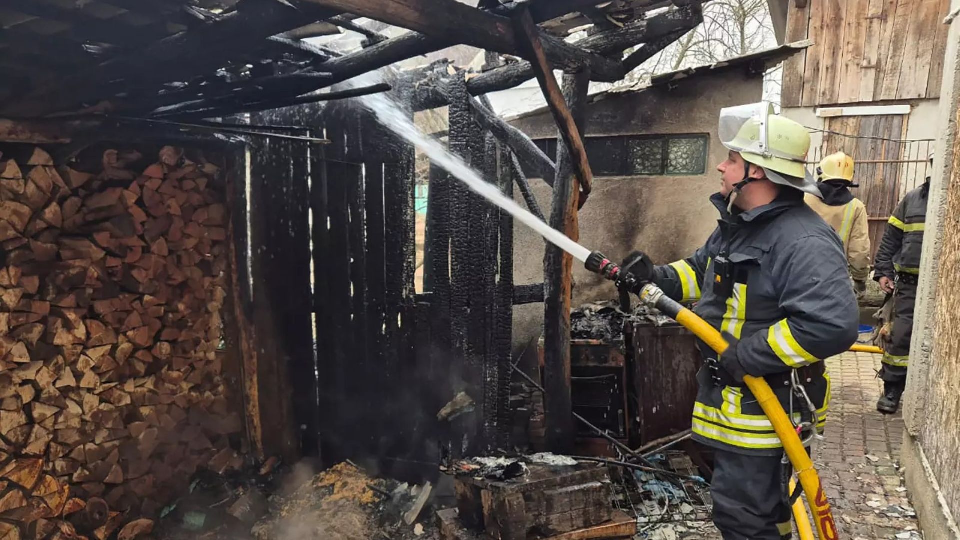 На Закарпатті кіт врятував господиню від нічної пожежі: деталі (ФОТО)