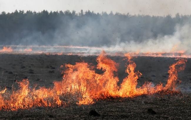 Малюнок до статті Взяти під котроль стихію не вийшло: на Виноградівщині гасили масштабну пожежу%