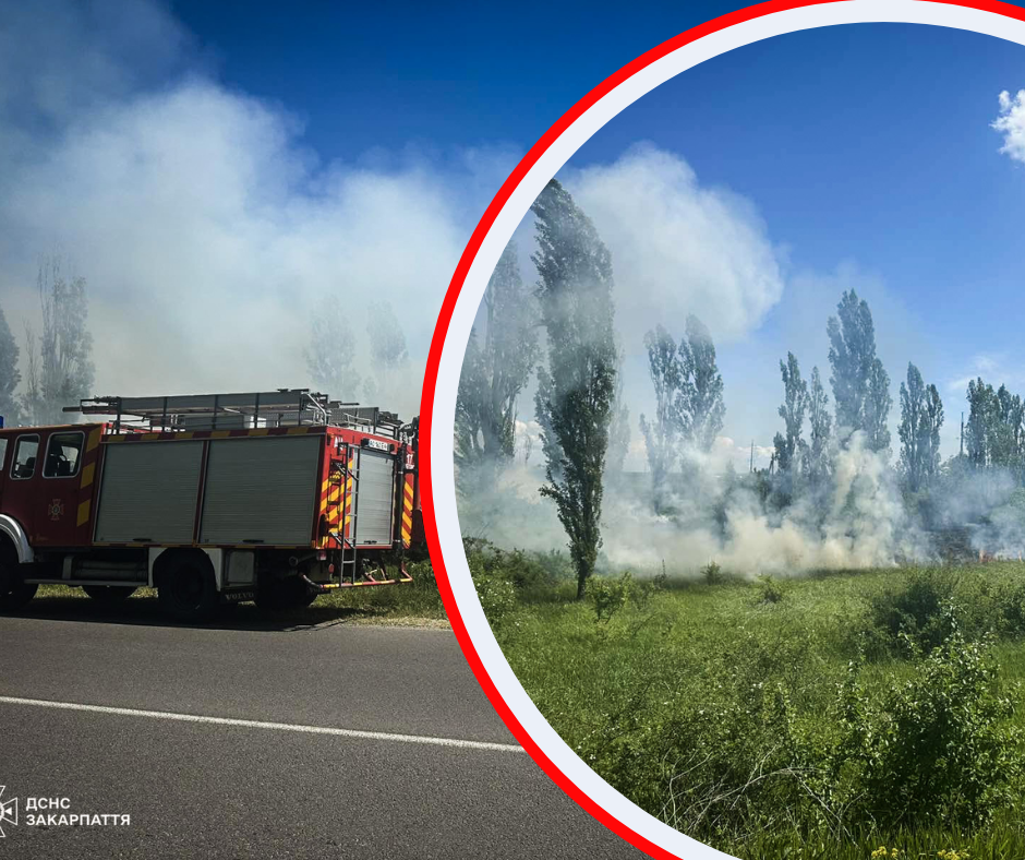 Полум’я ледь не знищило сад закарпатців: рятувальники розповіли деталі масштабної пожежі (ФОТО)