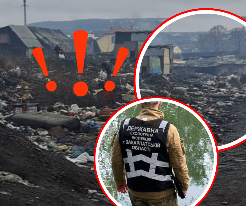 "Не пройти не пролізти": в одній з громад Закарпаття виявили шокуючі знахідки (ФОТО)