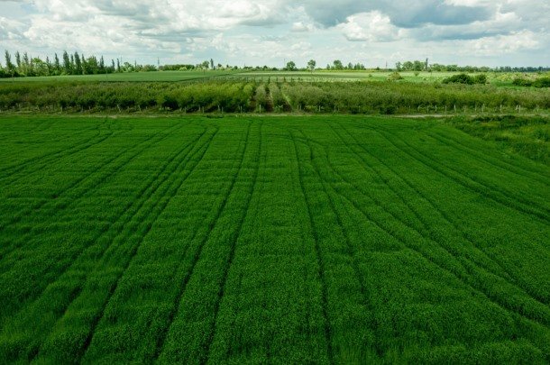 На що звертати увагу при купівлі аграрних земель