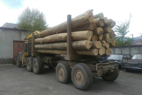 Працівники поліції зупинили «Урал» з деревиною в селі Тур'ї Ремети Перечинського району та перевірили документи на вантаж.