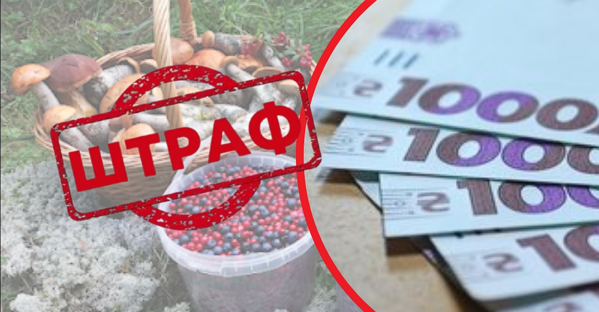 За гриби та ягоди можуть оштрафувати до 5100 гривень: як уникнути покарання
