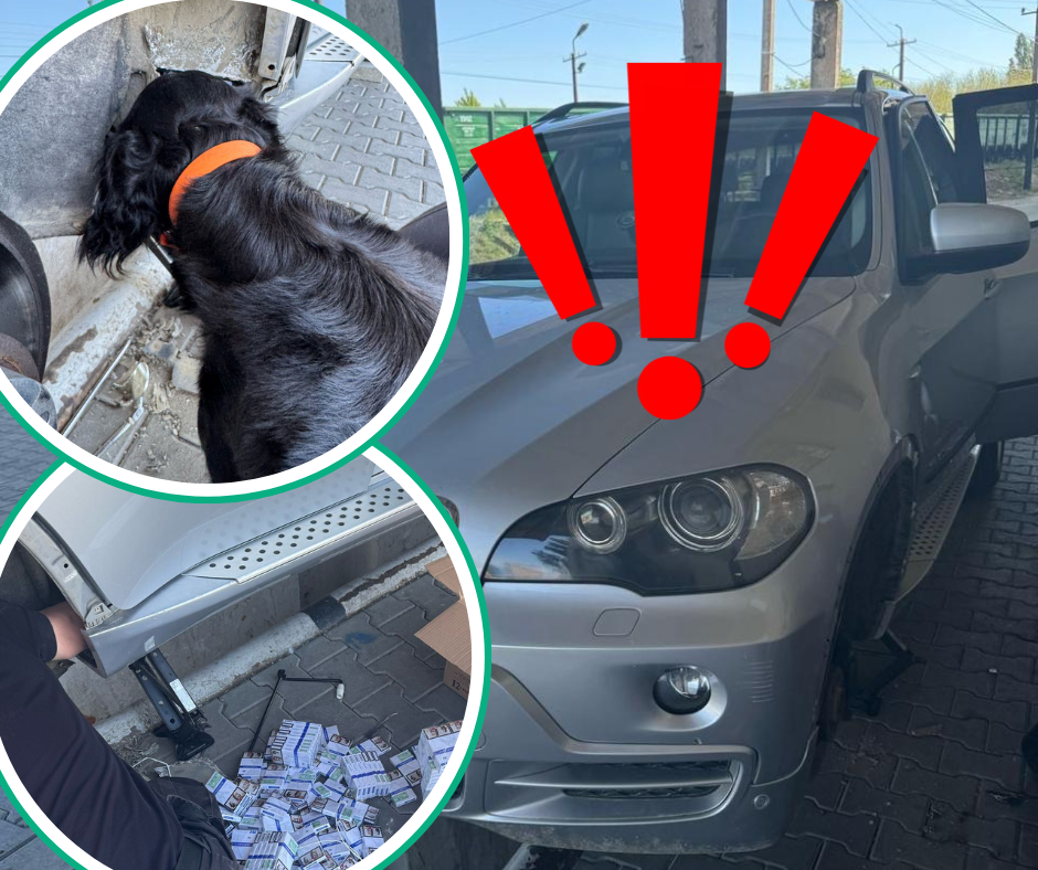 Службовий пес митниці «винюхав» відчайдушного контрабандиста на BMW X5 ( ФОТО)