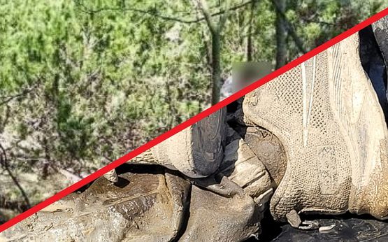 Шокуюча знахідка пастуха: в Румунії знайшли тіло — імовірно українця