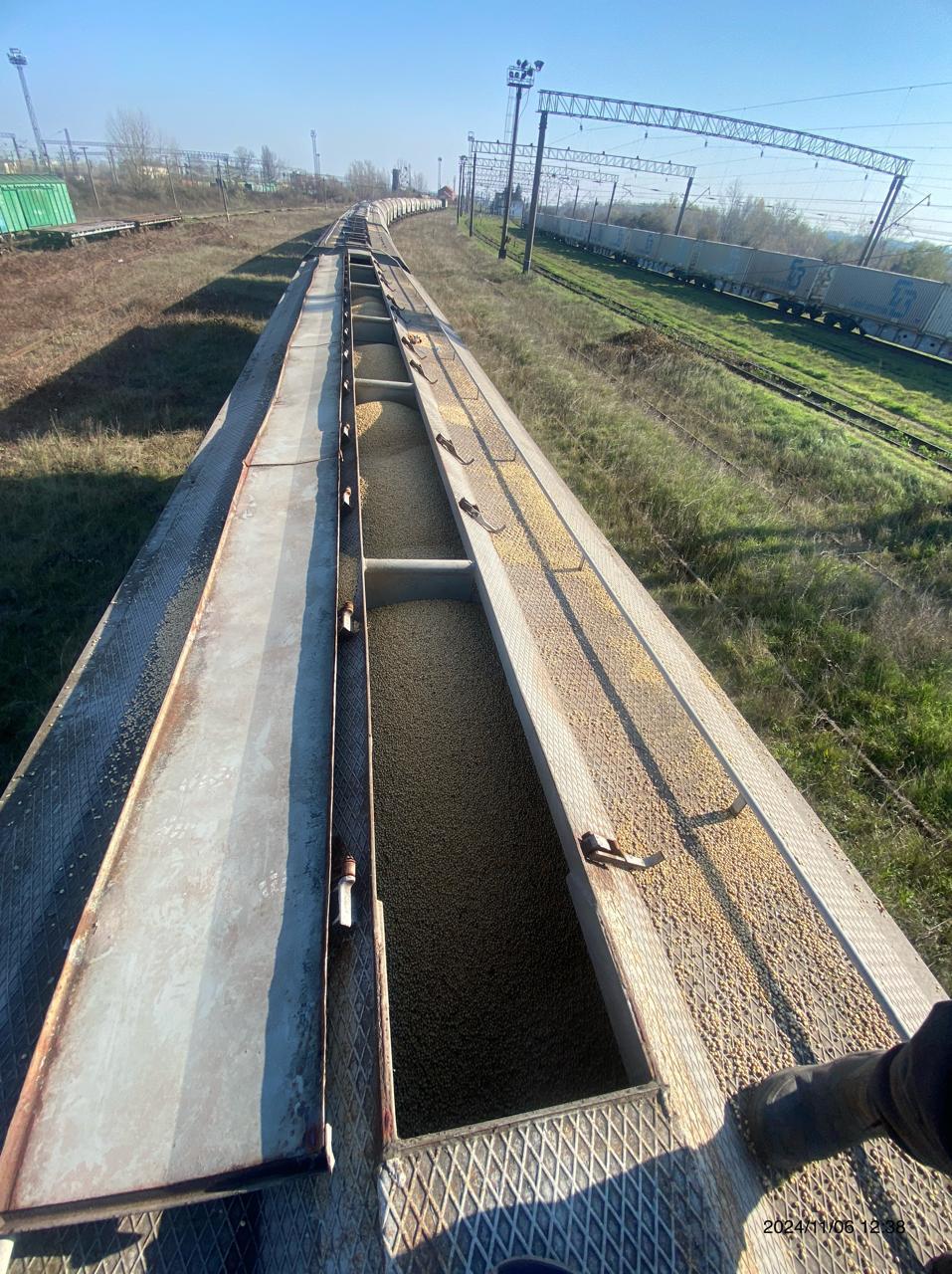 Закарпатські митники викрили незаконний експорт 160 тонн сої за фіктивними документами (ФОТО)