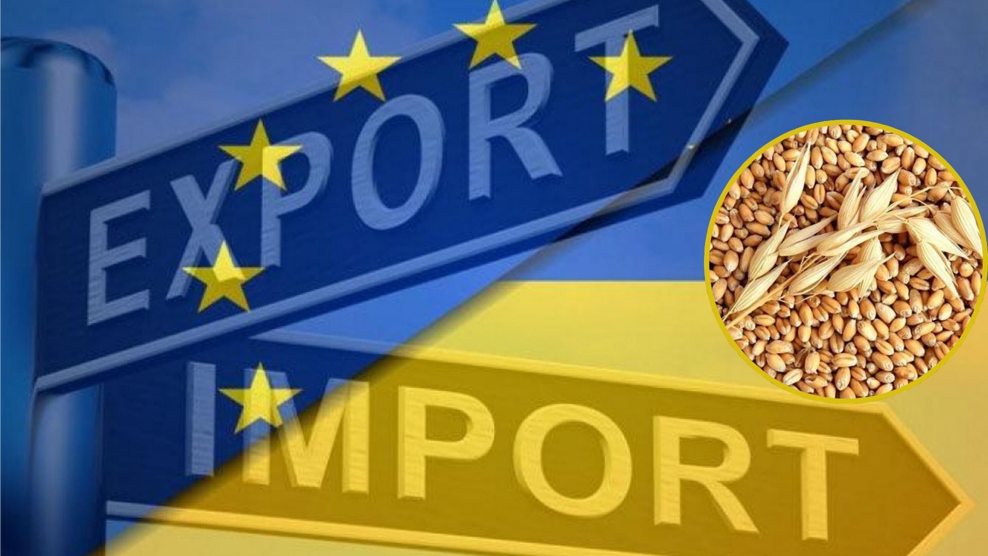 Україна зменшила експорт зерна: Держстат опублікував дані за перший квартал 2024 року