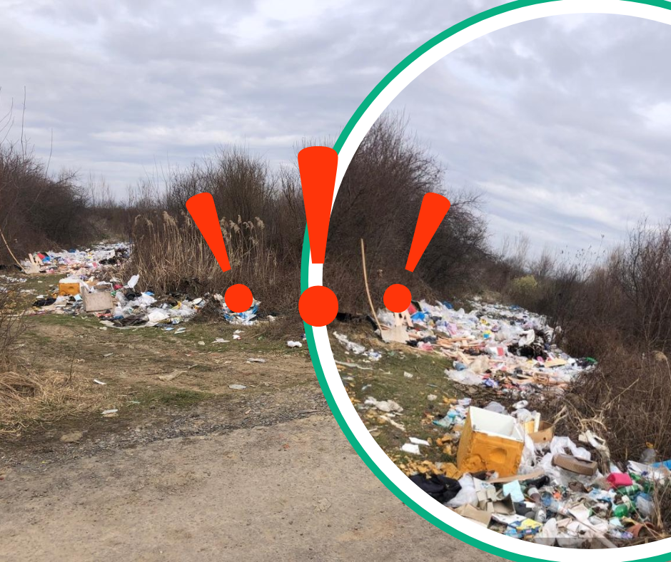 Екологічна катастрофа на Виноградівщині: стихійне сміттєзвалище загрожує довкіллю (ФОТО)