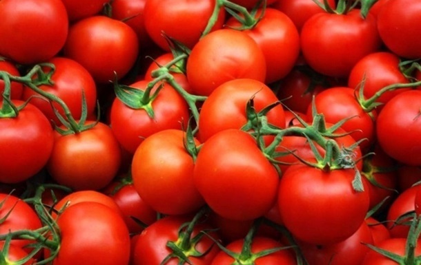 У томатах виявили карантинний організм - південноамериканську томатну міль. Помідори повернули назад, до Туреччини.