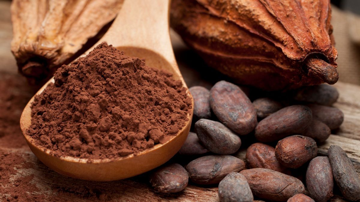 Ф'ючерси на какао в Нью-Йорку досягли нового, історичного рекорду, оскільки темпи переробки на шоколадних фабриках зберігаються, попри глобальний дефіцит пропозиції та великі ціни.