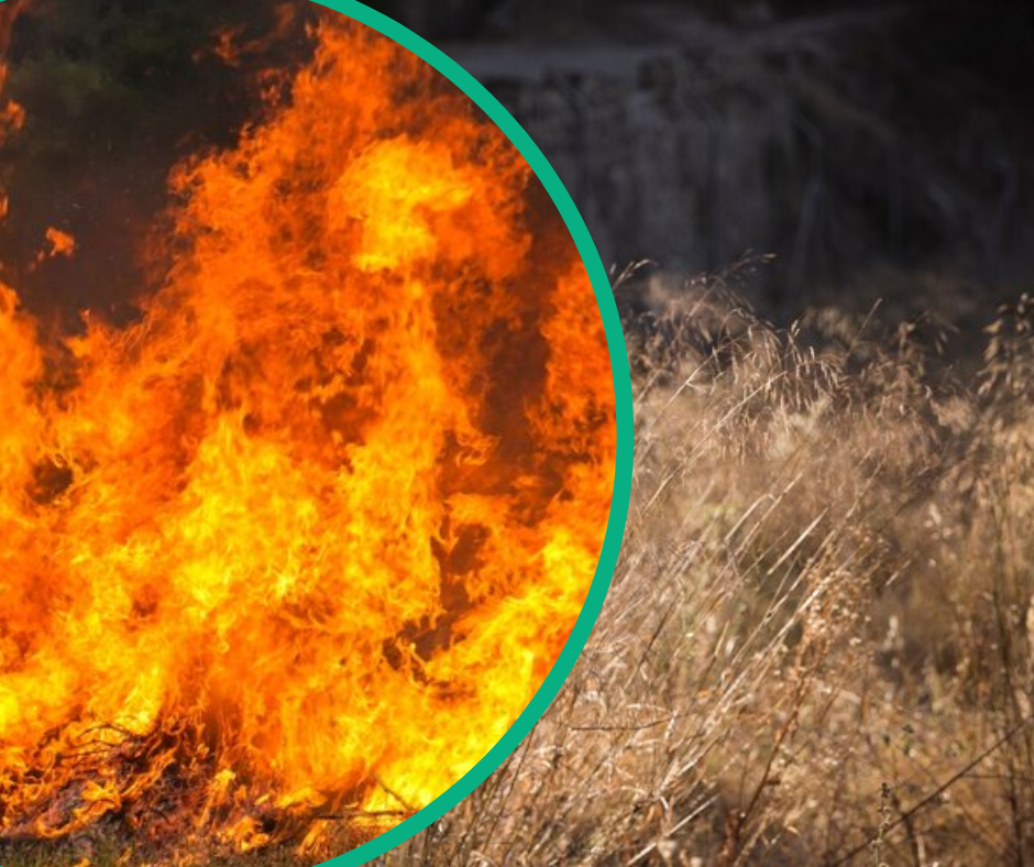 Закарпаття "палає": ДСНСівці масово виїжджають на гасіння пожеж