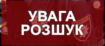 "Як крізь землю провалилася": на Заході два тижні шукають зниклу жінку