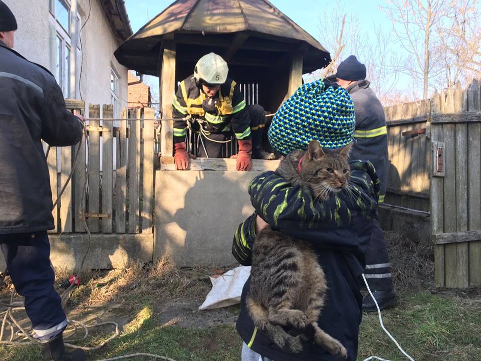 8 лютого до іршавських рятувальників по допомогу звернулись мешканка с. Великий Раковець, яка повідомила, що допомоги потребує її кіт Барсік, який потрапив у колодязь.