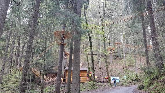 На Закарпатье в Национальном природном парке «Синевир» открыли эко-тропу в кронах деревьев.

